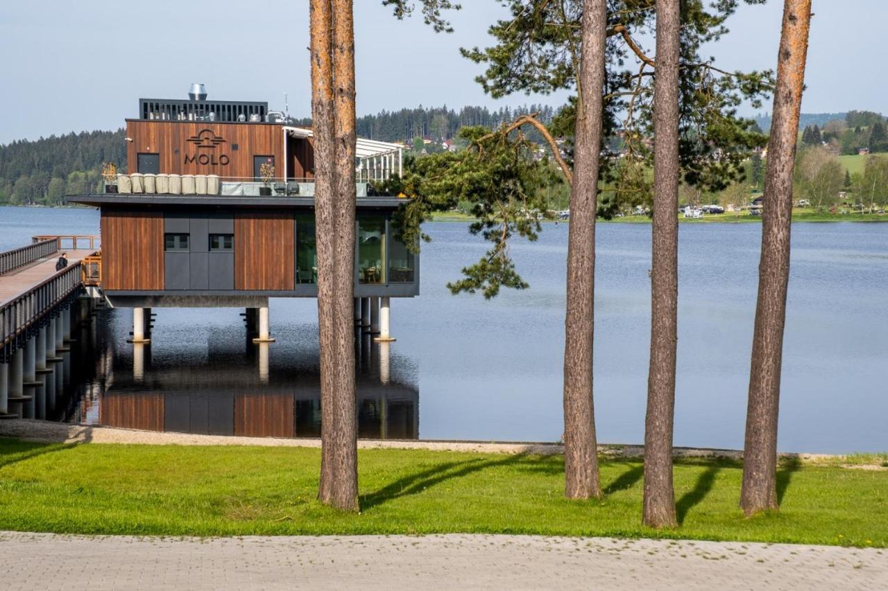 Apartment Molo Lipno B201 Lipno